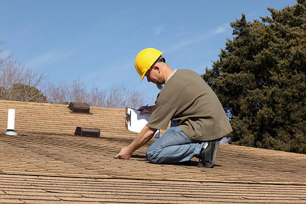 Best Roof Moss and Algae Removal  in Pinetop Country Clu, AZ